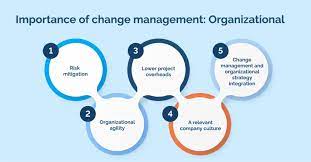 The Importance of Change Management Training