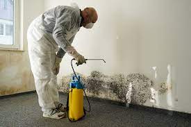 Preventing and Dealing with Home Mold