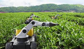 The Future of Artificial Intelligence in Agriculture