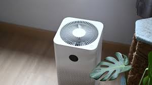 Ventilation and Air Purification for Allergy Sufferers